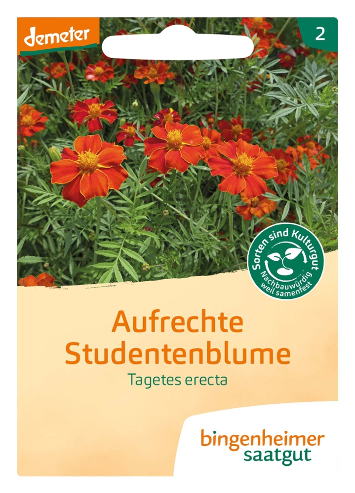 Aufrechte Studentenblume | Tagetes Erecta, Bio Samen