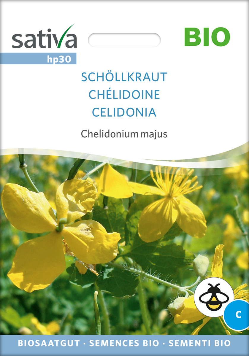 hp30_schoellkraut_bio_samen Schöllkraut BIO Samen
