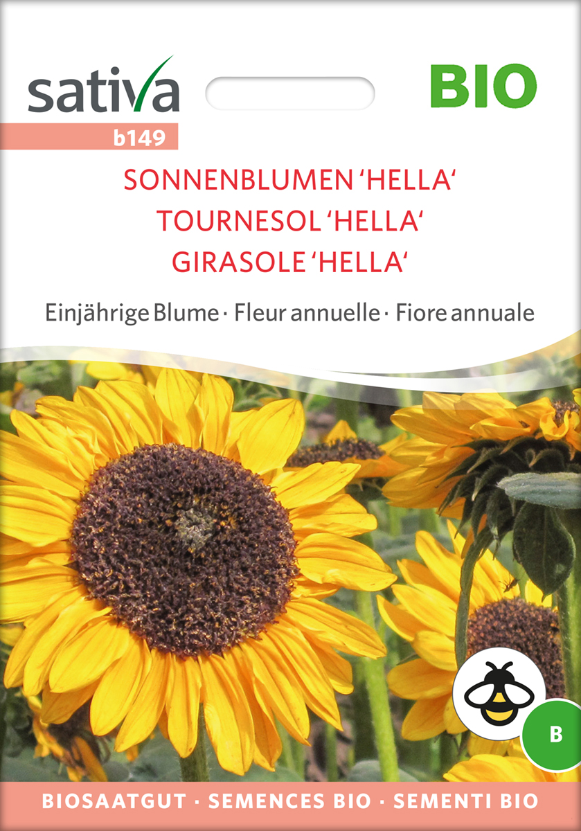 Sonnenblume Hella BIO Samen von Sativa