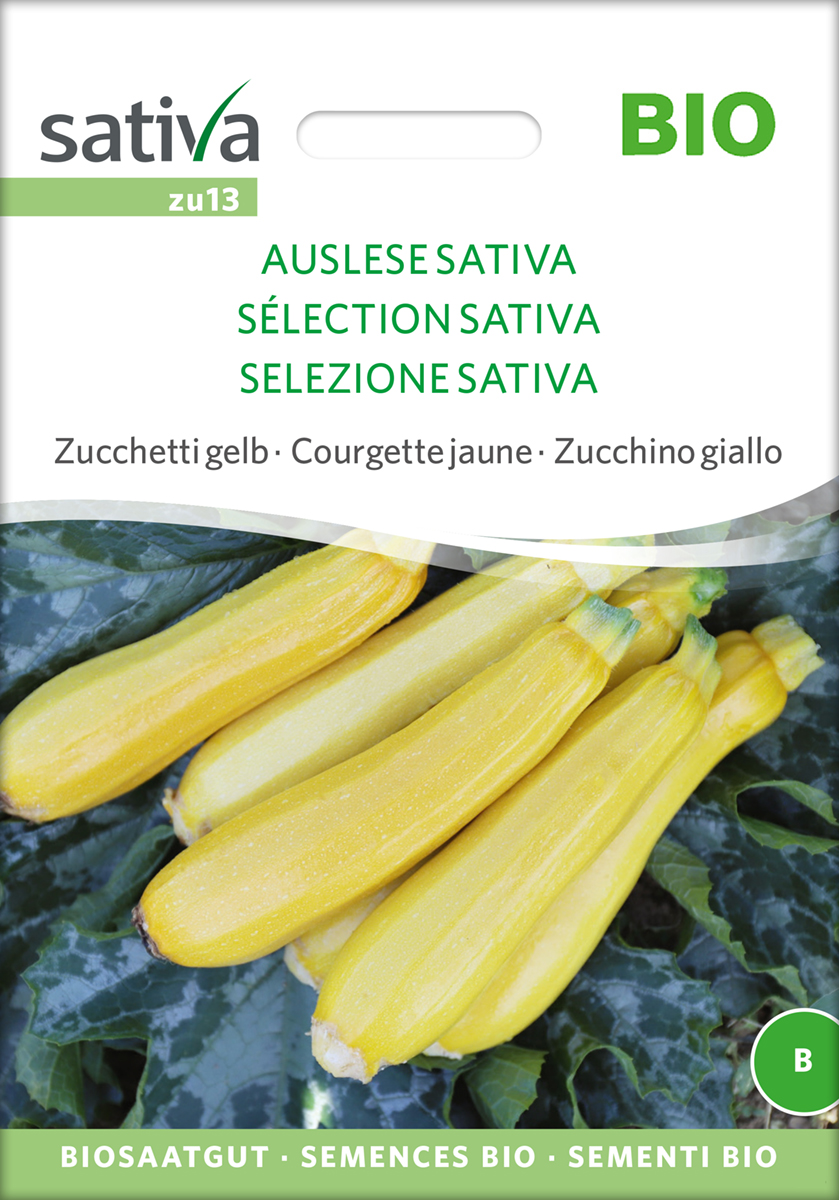 Zucchini 'Auslese Sativa' BIO Samen