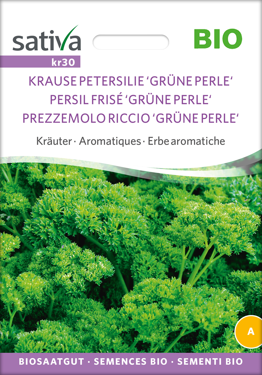 kr30_krause_petersilie_gruene_perle_bio_samen Krause Petersilie 'Grüne Perle' Bio Samen