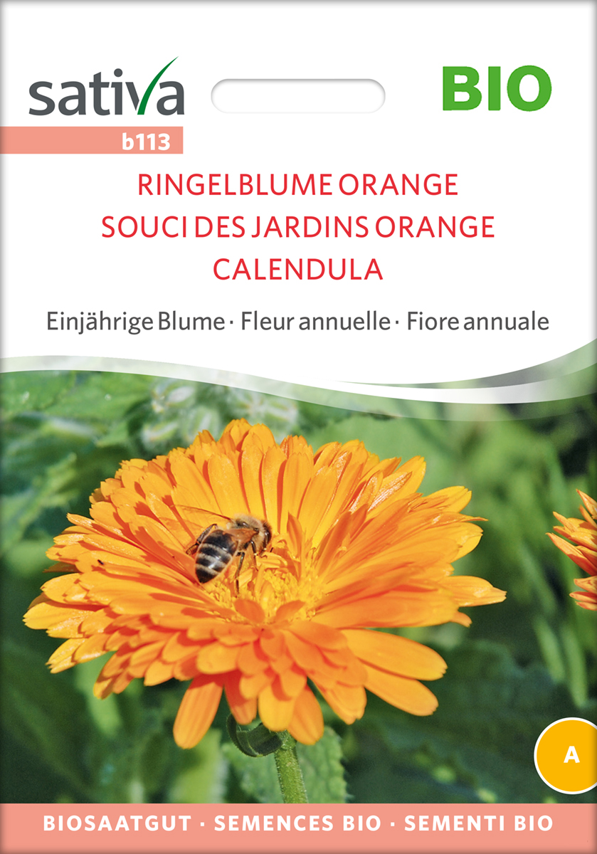 b113_ringelblume_orange_bio_samen Ringelblume Orange Bio Samen
