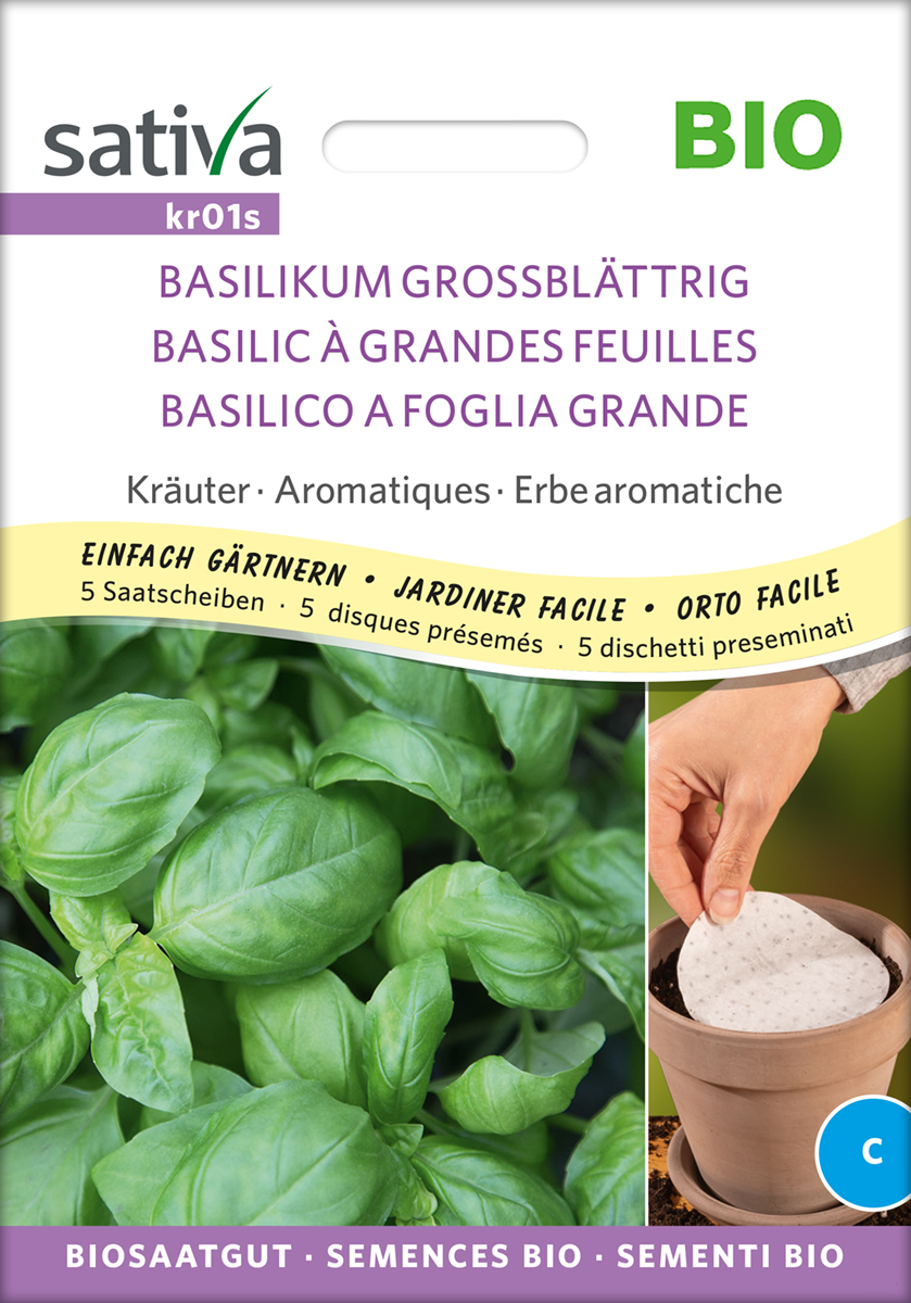 kr01s_basilikum_grossblaettrig_bio_saatscheibe Basilikum Großblättrig BIO Samen