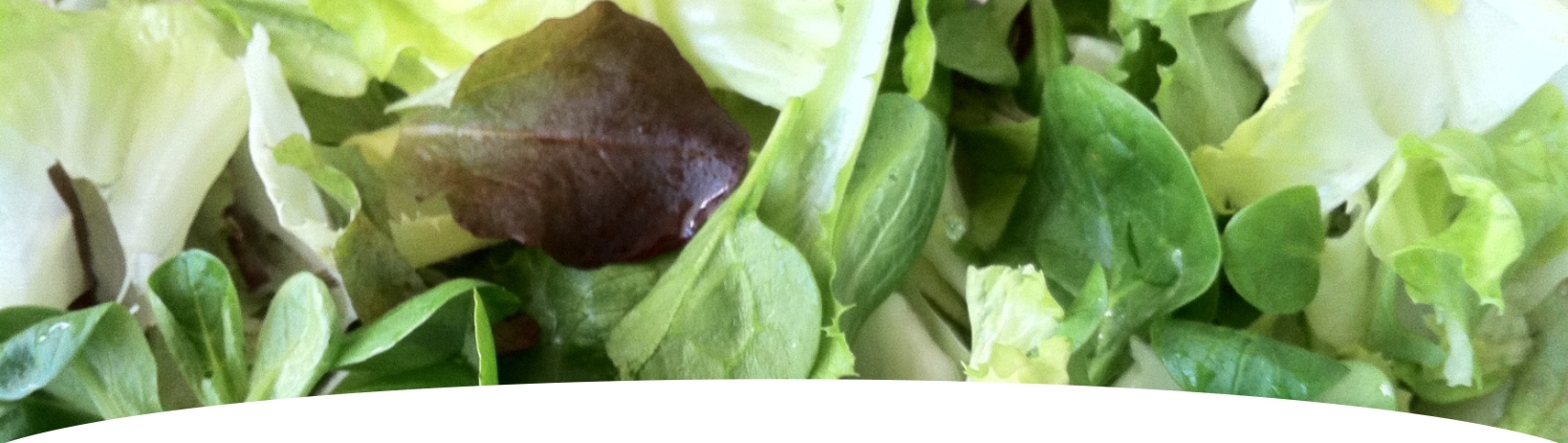 Salat-k