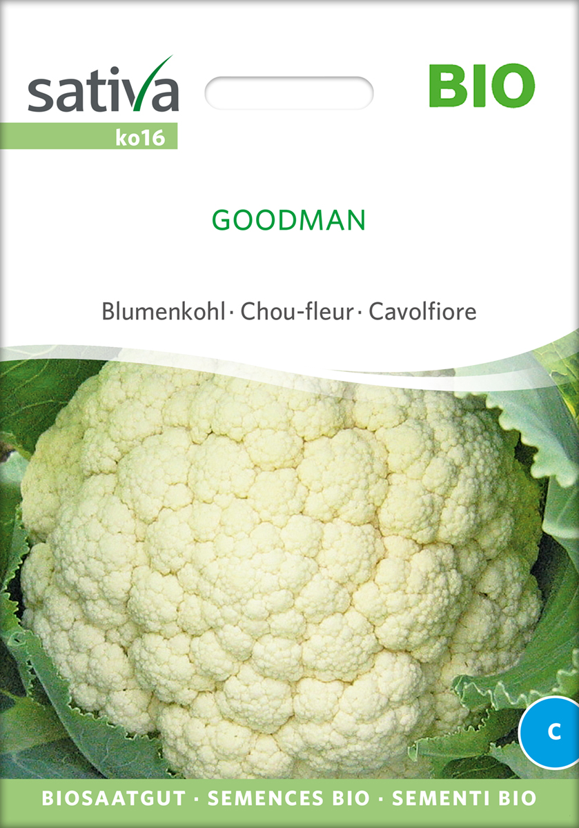 Blumenkohl Goodman BIO Samen