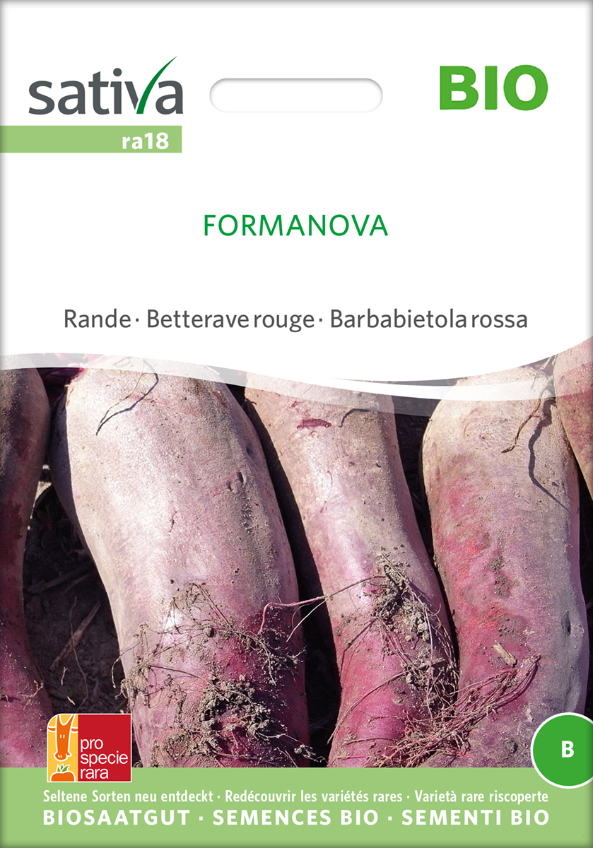 Rote Bete Formanova BIO Samen