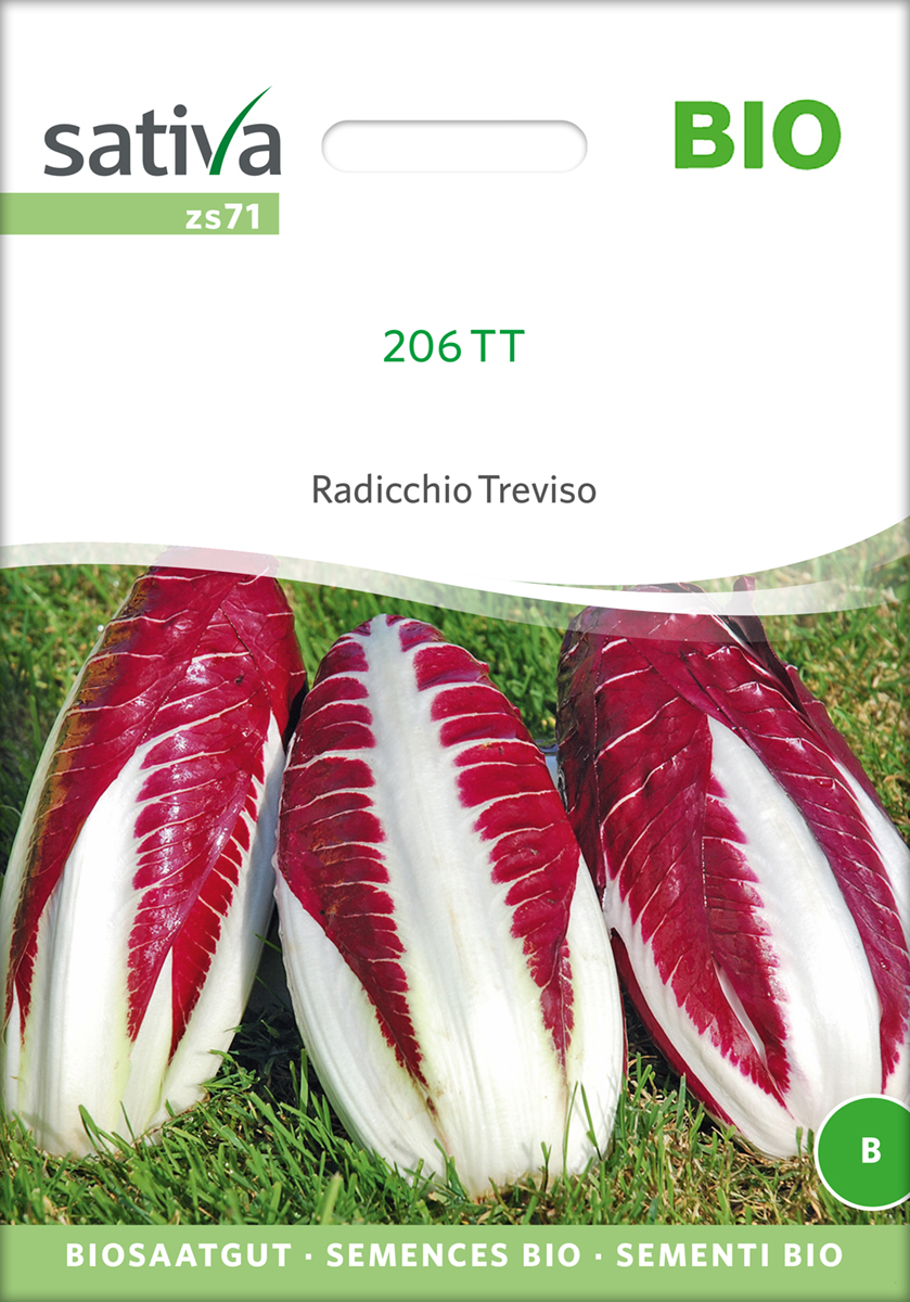 zs71_radicchio_treviso_bio_samen Radicchio Treviso 206 TT Bio Samen