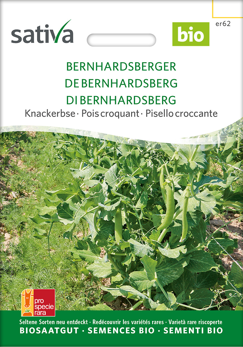 Erbse 'Bernhardsberger' BIO Samen von Sativa