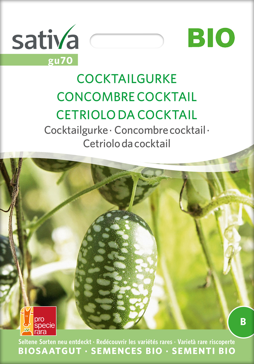 Gurke Cocktailgurke BIO Samen