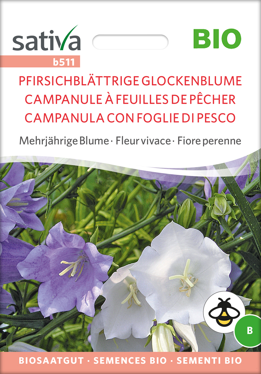 Pfirsichblättrige Glockenblume Samen