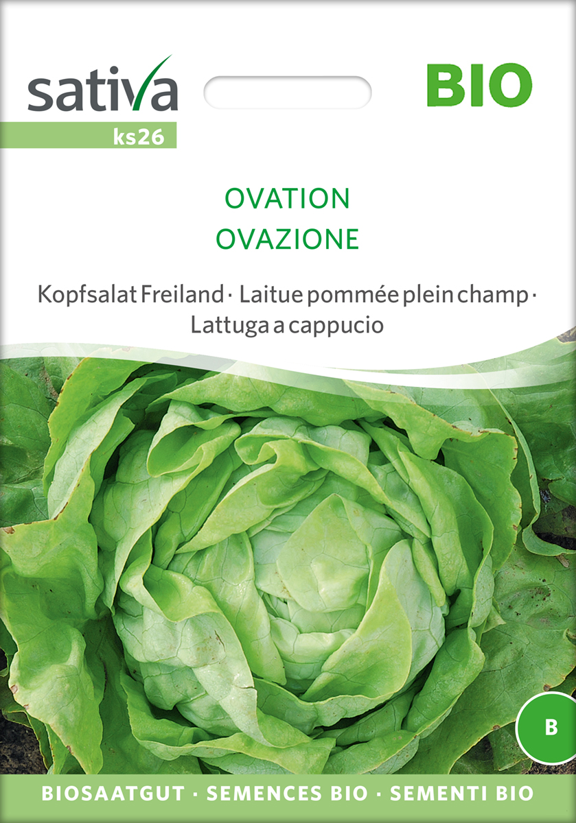 Kopfsalat Ovation, Buttersalat BIO Samen