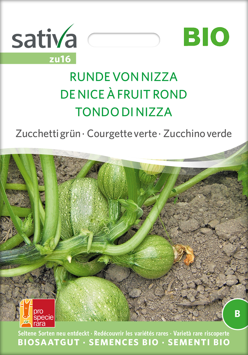 Zucchini 'Runde von Nizza' Samen