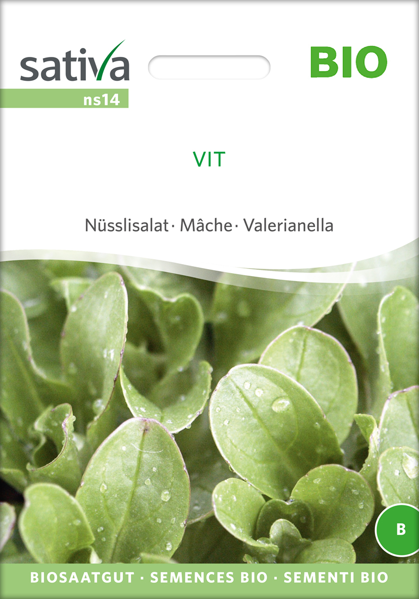 Feldsalat, Ackersalat, Nüsslisalat VIT BIO Samen