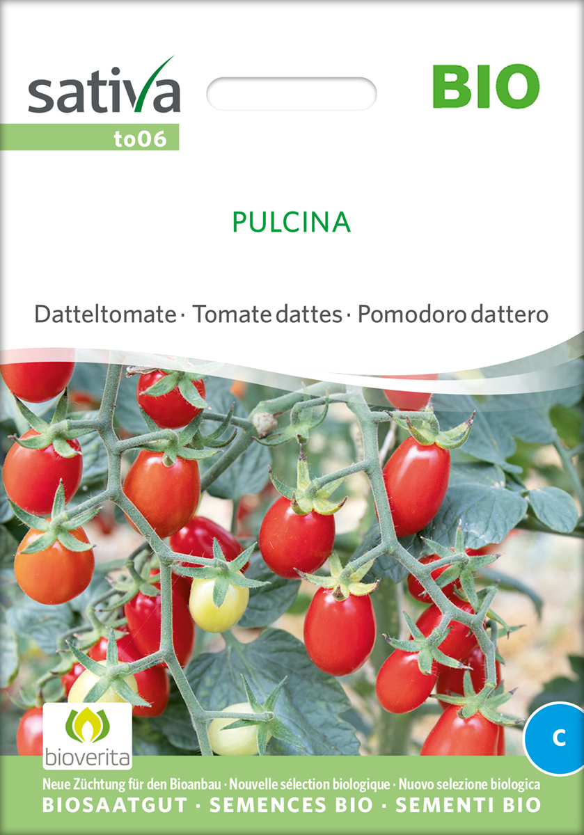 to06_dattel_tomate_rot_pulcina_bio_samen Rote Datteltomate 'Pulcina' BIO Samen