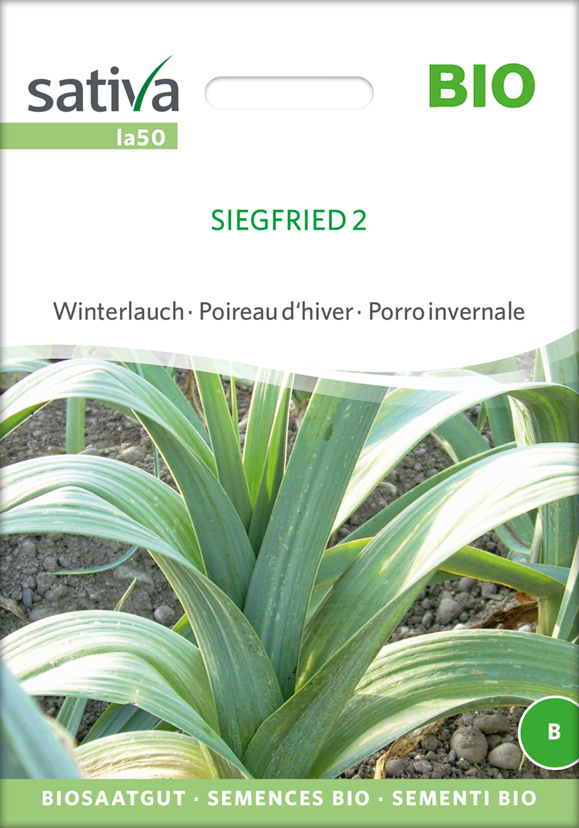 Lauch Siegfried 2 BIO Samen