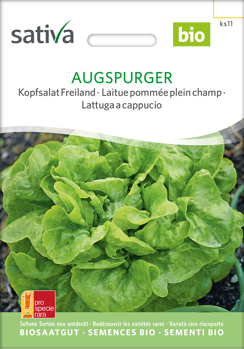 Kopfsalat 'Augspurger' BIO Samen | Buttersalat