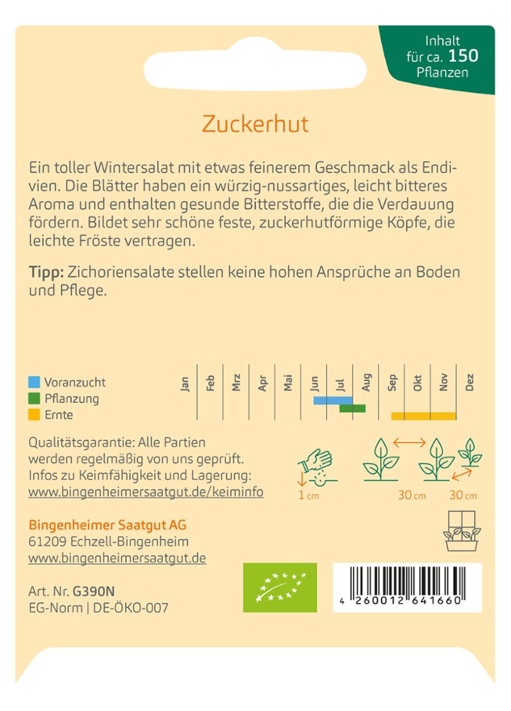 Zichoriensalat Zuckerhut Biosaatgut