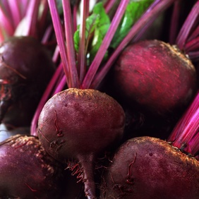 Rote-Bete