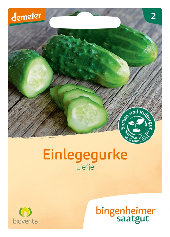 Einlegegurke, Gewürzgurke Liefje BIO samen