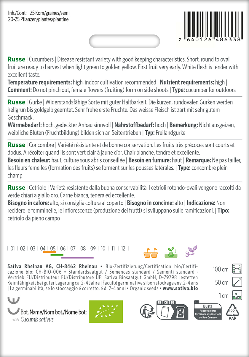 Gurke 'Russische' Biosamen