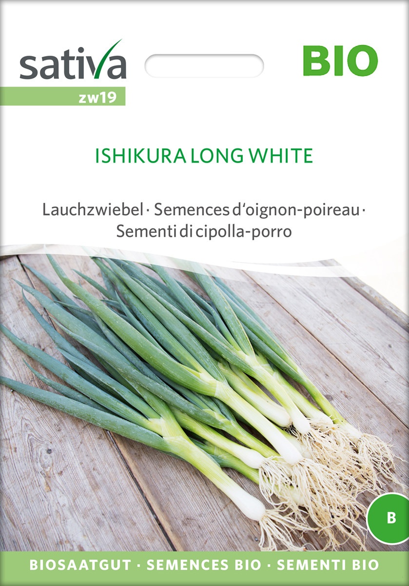 Lauchzwiebel Ishikura Long White BIO Samen