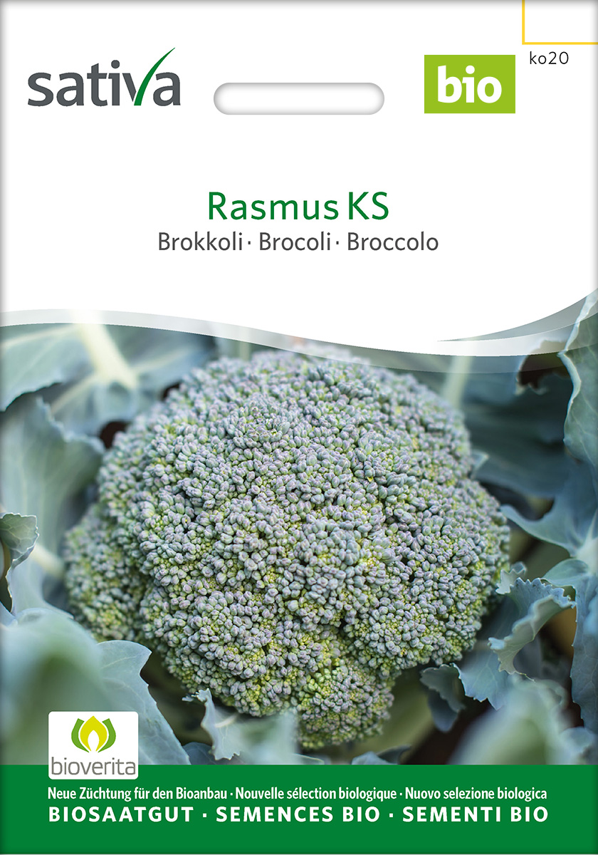 Broccoli Rasmus KS BIO Saatgut