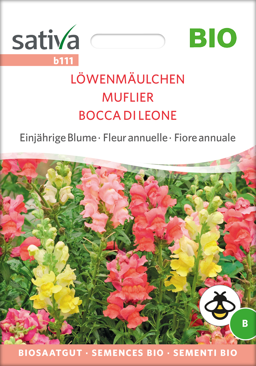 b111_loewenmaeulchen_bio_samen Löwenmäulchen BIO Samen