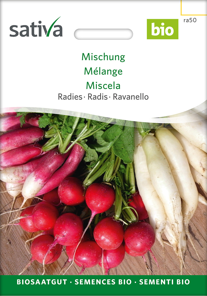 Radieschen Mischung Samen