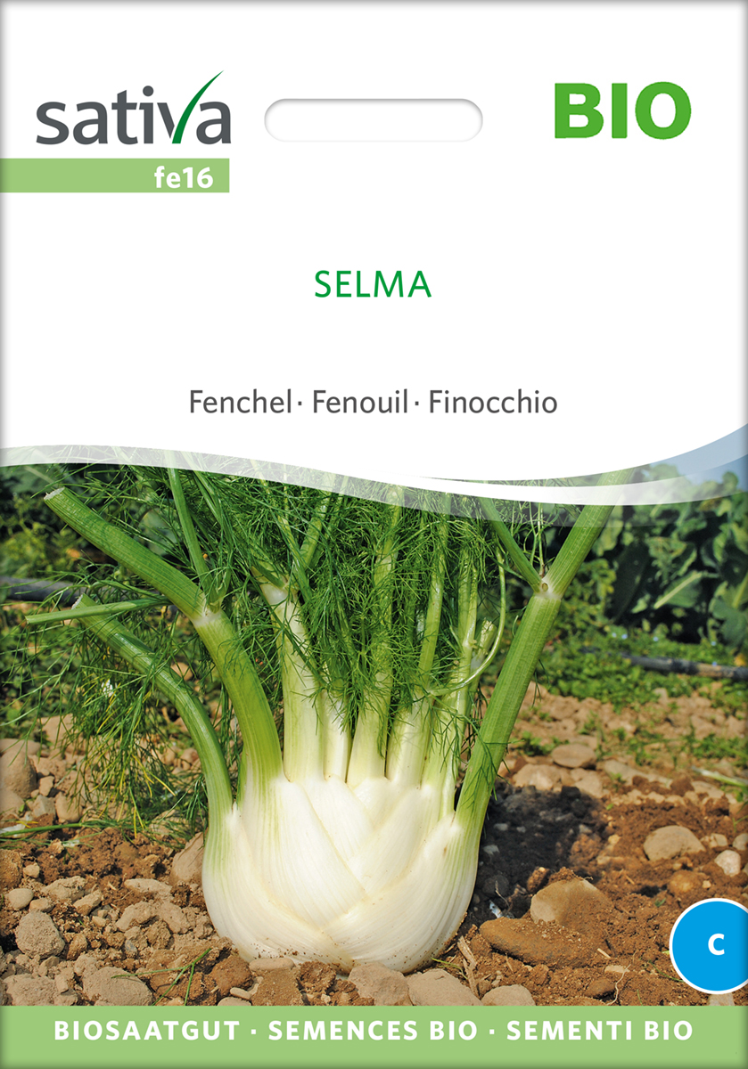 Fenchel Selma Samen