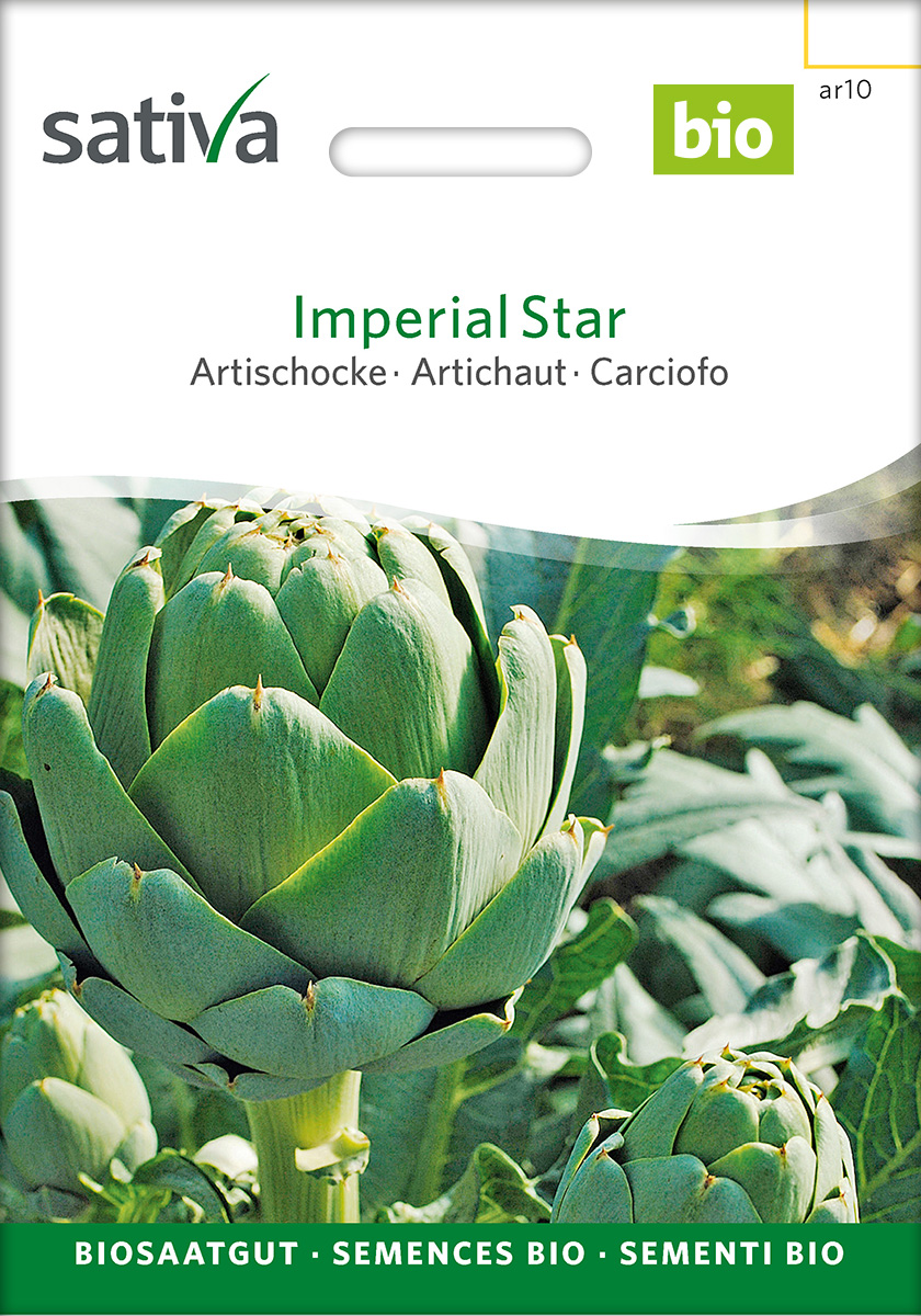 Artischocke 'Imperial Star', Biosaatgut von Sativa