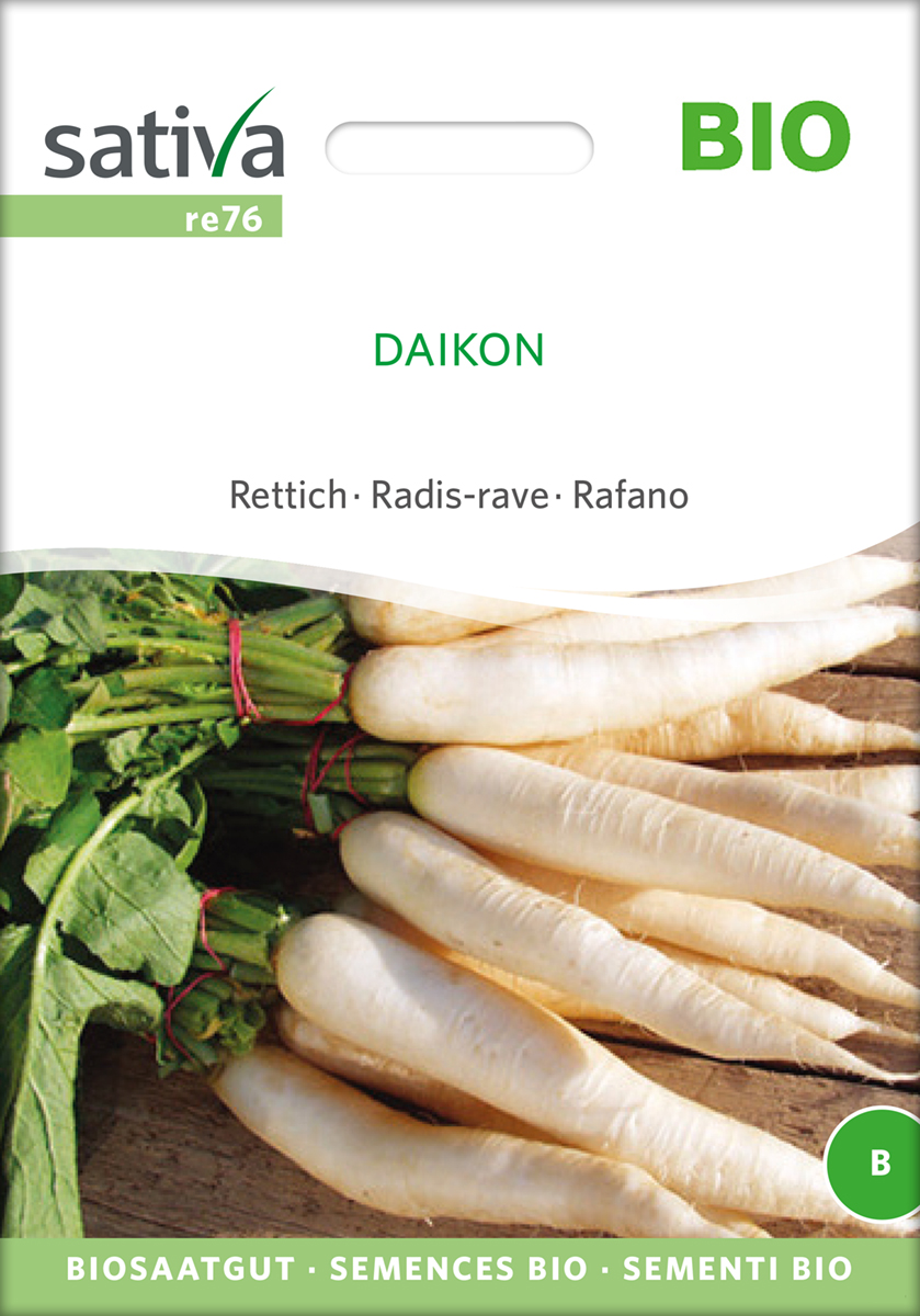 Rettich Daikon BIO Samen