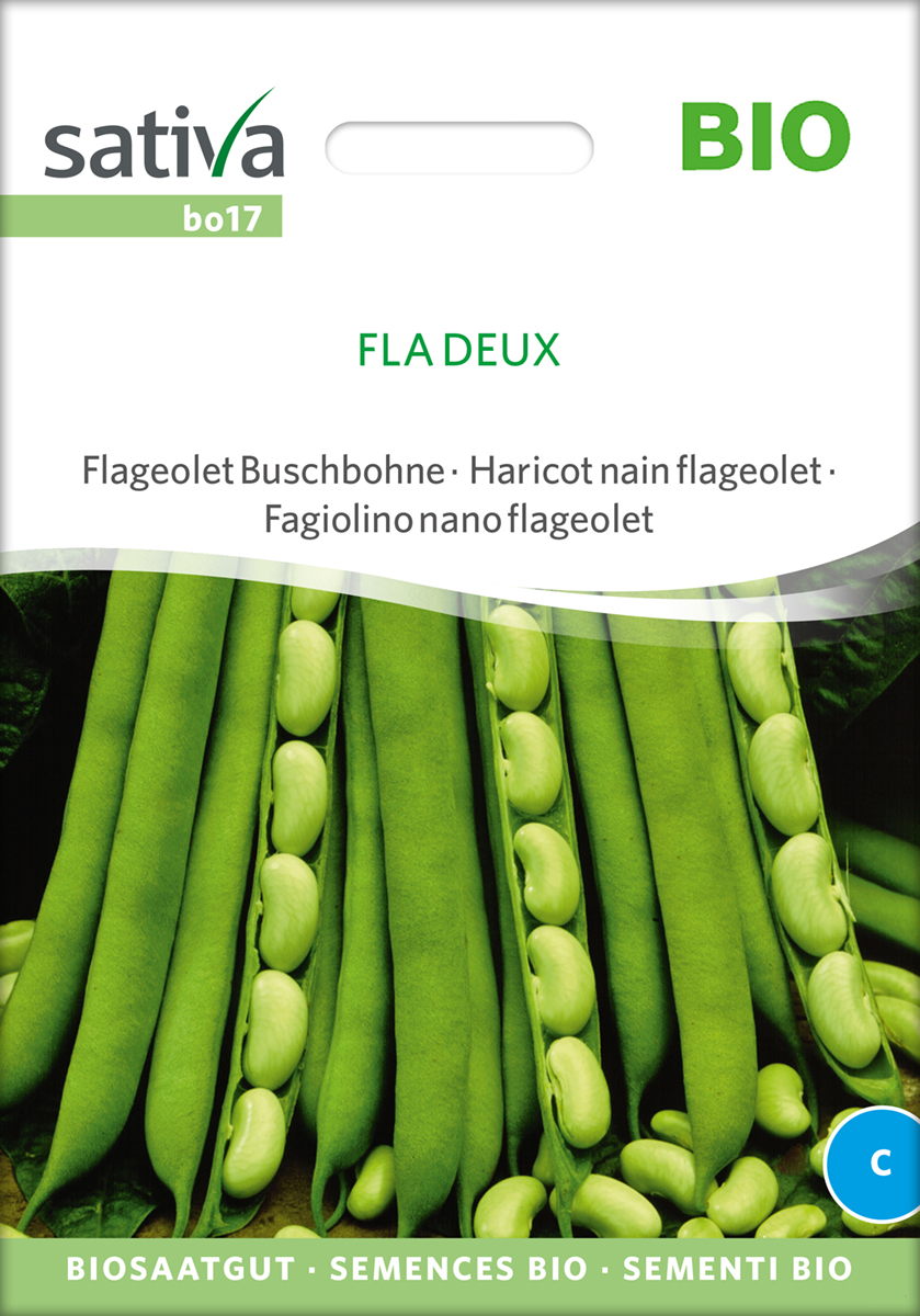 Buschbohne Fla Deux, BIO Samen