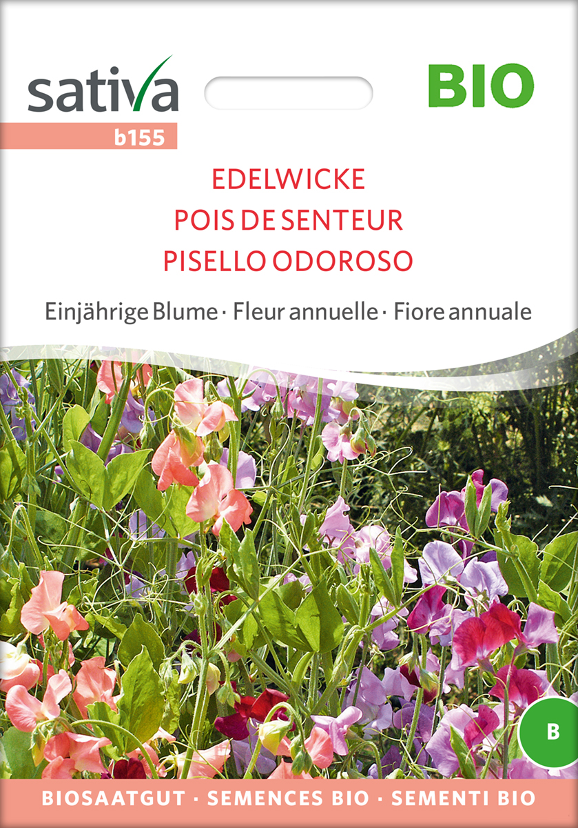 b155_edelwicke_bio_samen Edelwicken Sativa Biosaatgut