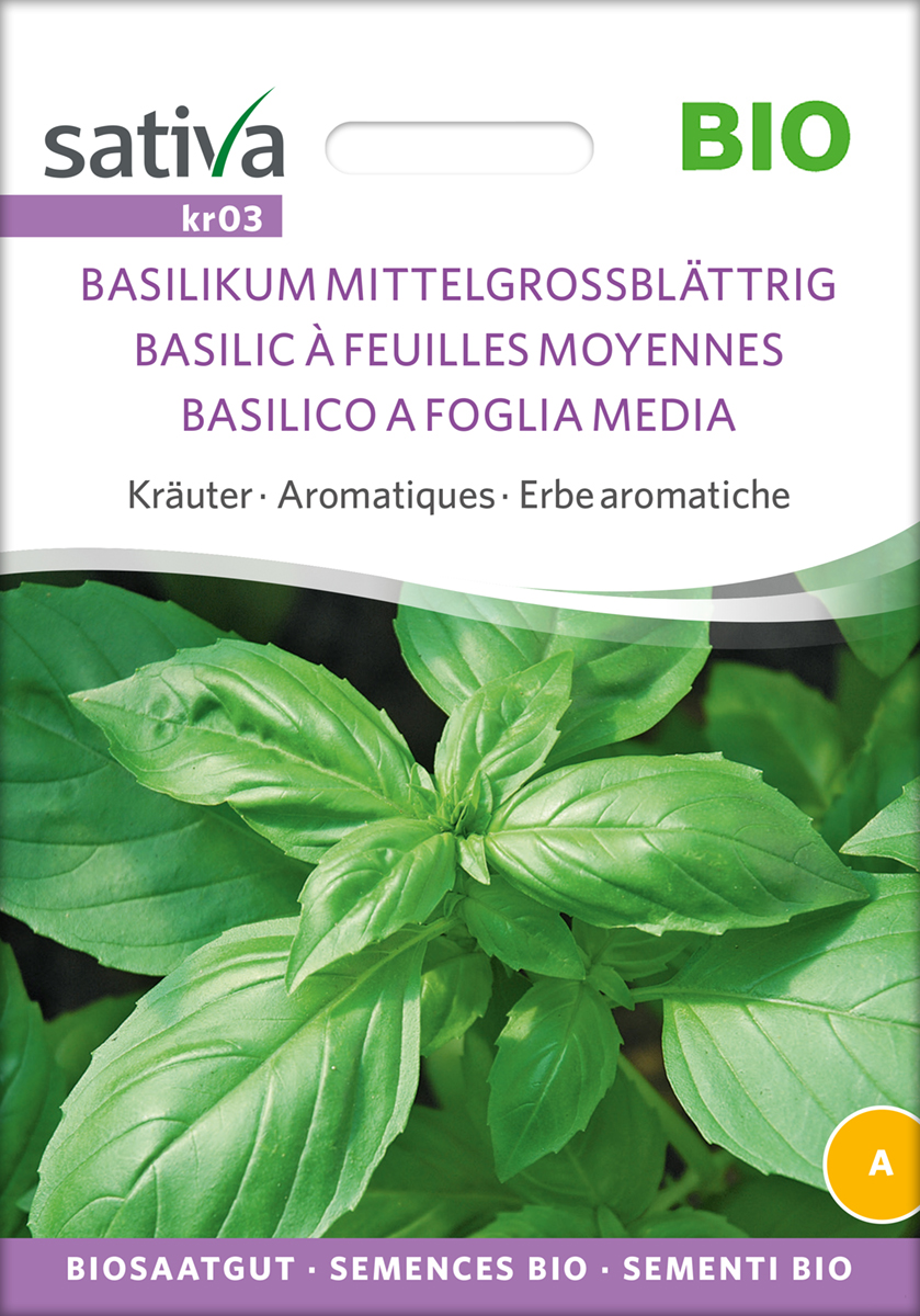 kr03_basilikum_mittelgrossblaettrig_bio_samen Basilikum Mittelgroßblättrig BIO Samen
