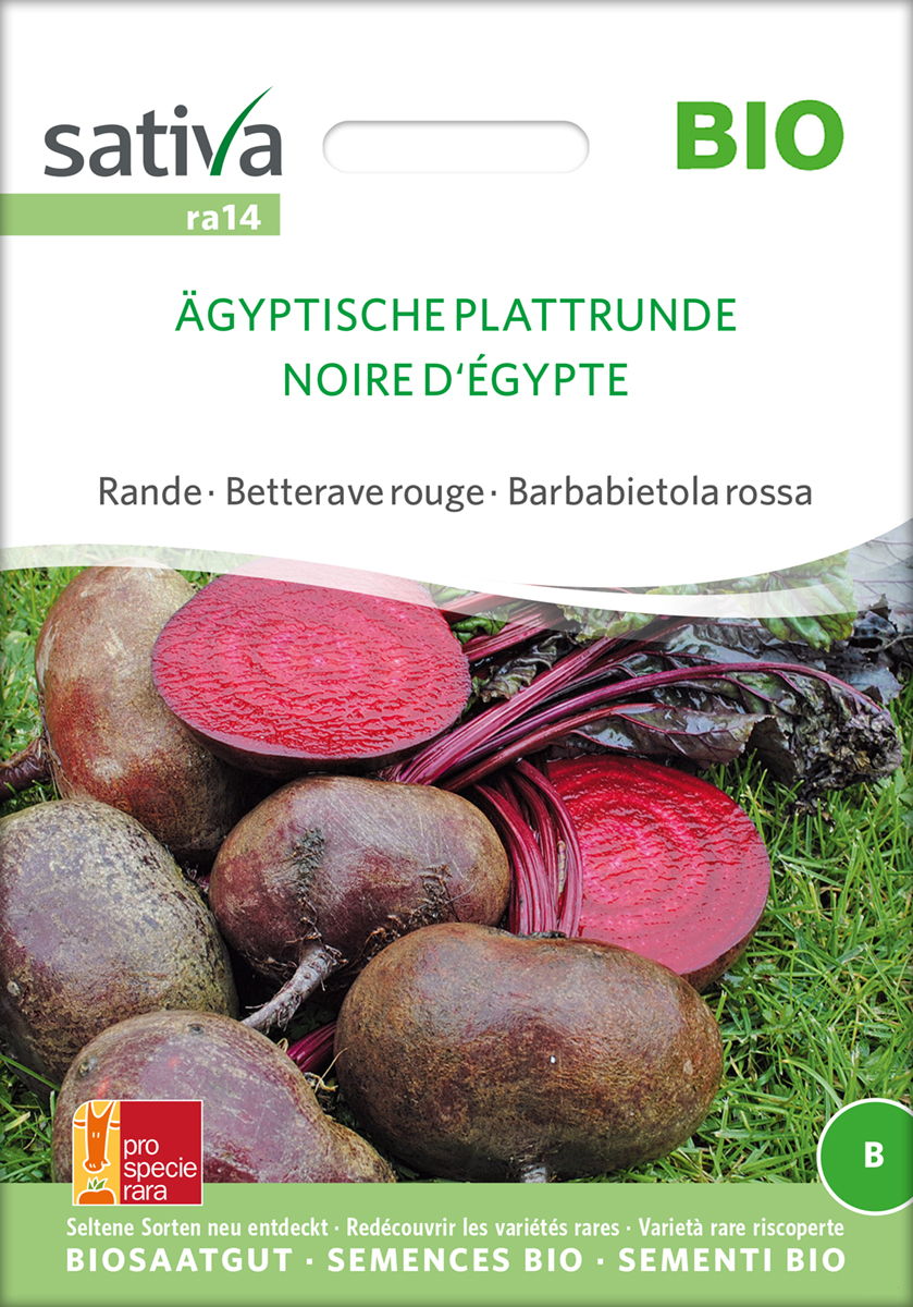 ra14_rote_bete_aegyptische_plattrunde_bio_samen Rote Bete Ägyptische Plattrunde Samen