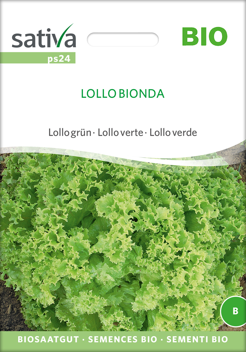 ps24_pfluecksalat_lollo_bionda_bio_samen Pflücksalat Lollo Bionda Biosaatgut