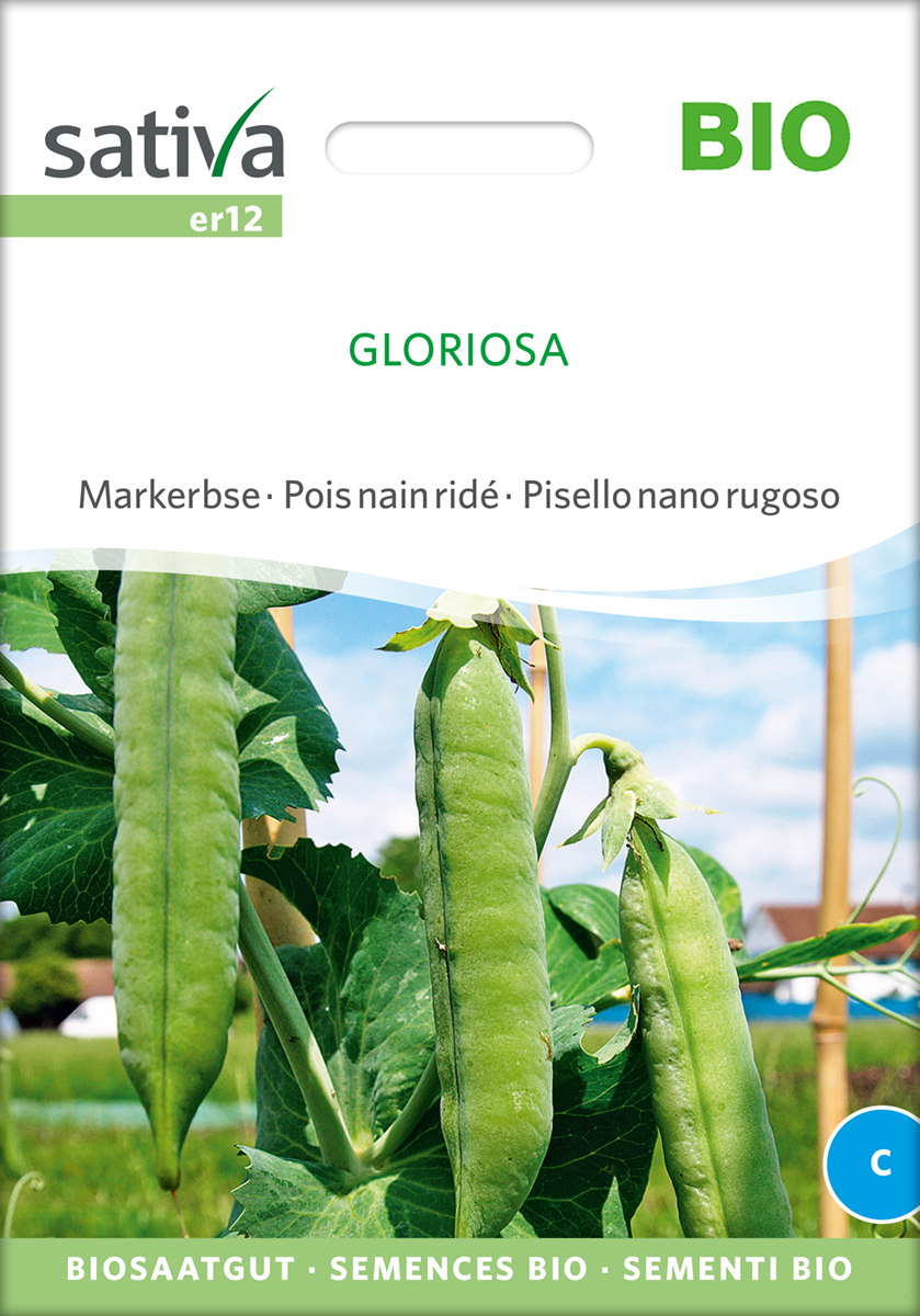 Erbse - Markerbse- Gloriosa BIO Samen