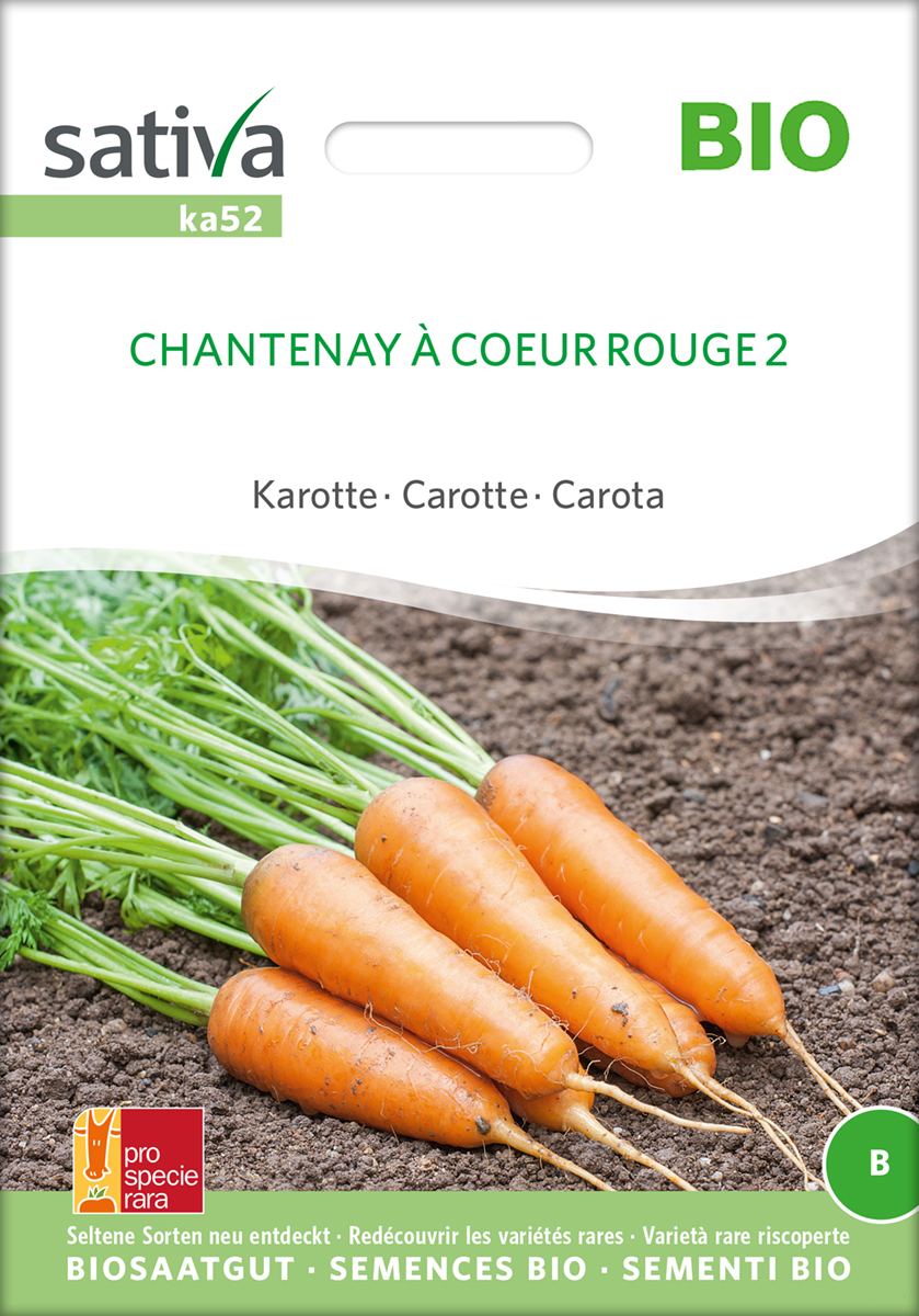 Karotte 'Chantenay à coeur rouge 2' Biosamen