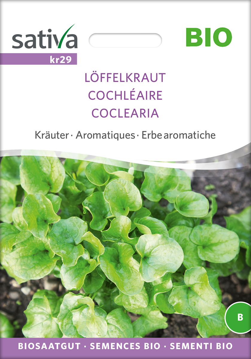 Löffelkraut Cochlearia officinalis