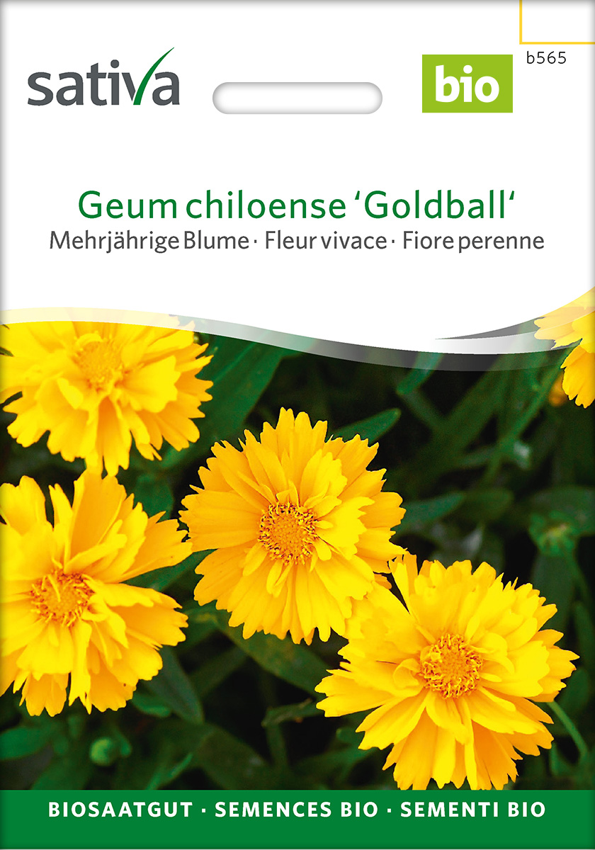 Geum Chiloense 'Goldball' - chilenische Nelkenwurz 'Goldball' BIO Samen Geum Chiloense 'Goldball' - chilenische Nelkenwurz 'Goldball' BIO Samen
