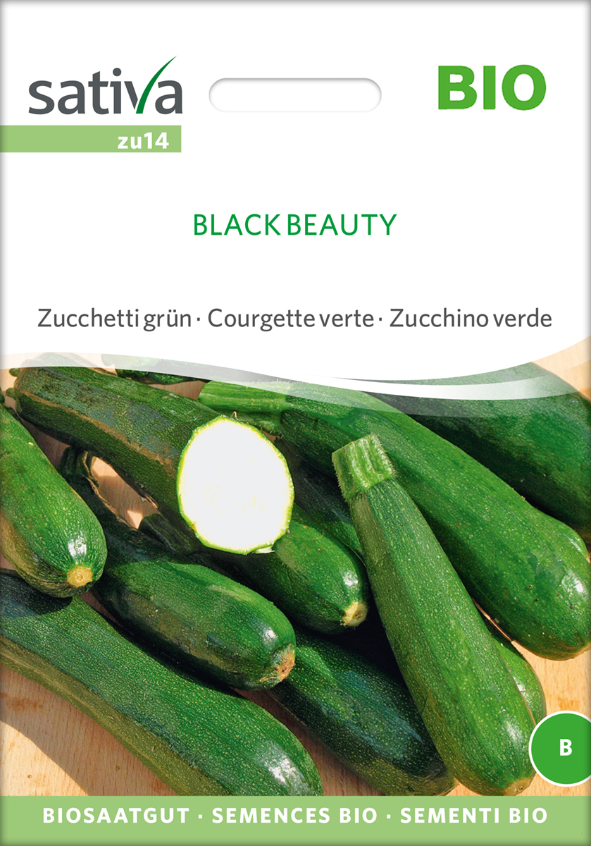 zu14_zucchini_black_beauty_bio_samen Zucchini Black Beauty' BIO Samen