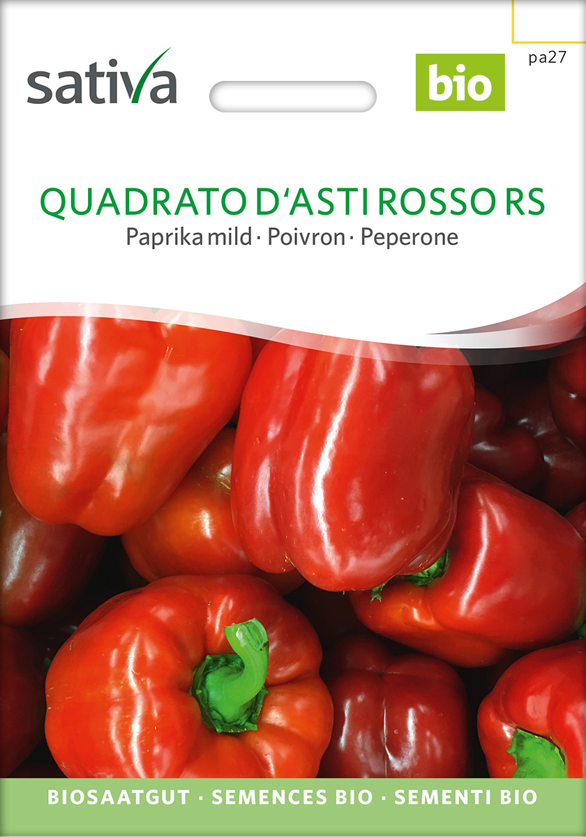 Paprika 'Quadrato d'Asti Rosso RS' BIO Samen