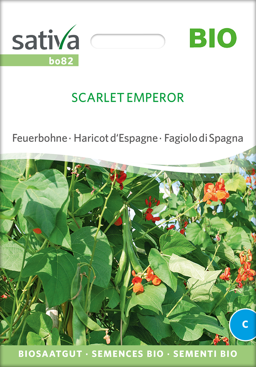 Feuerbohne Scarlet Emperor BIO  Samen