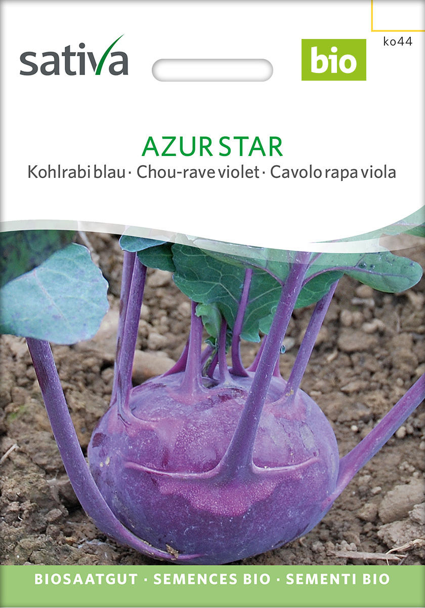 ko44_kohlrabi_azur_star_bio_samen Kohlrabi 'Azur Star' BIO Samen