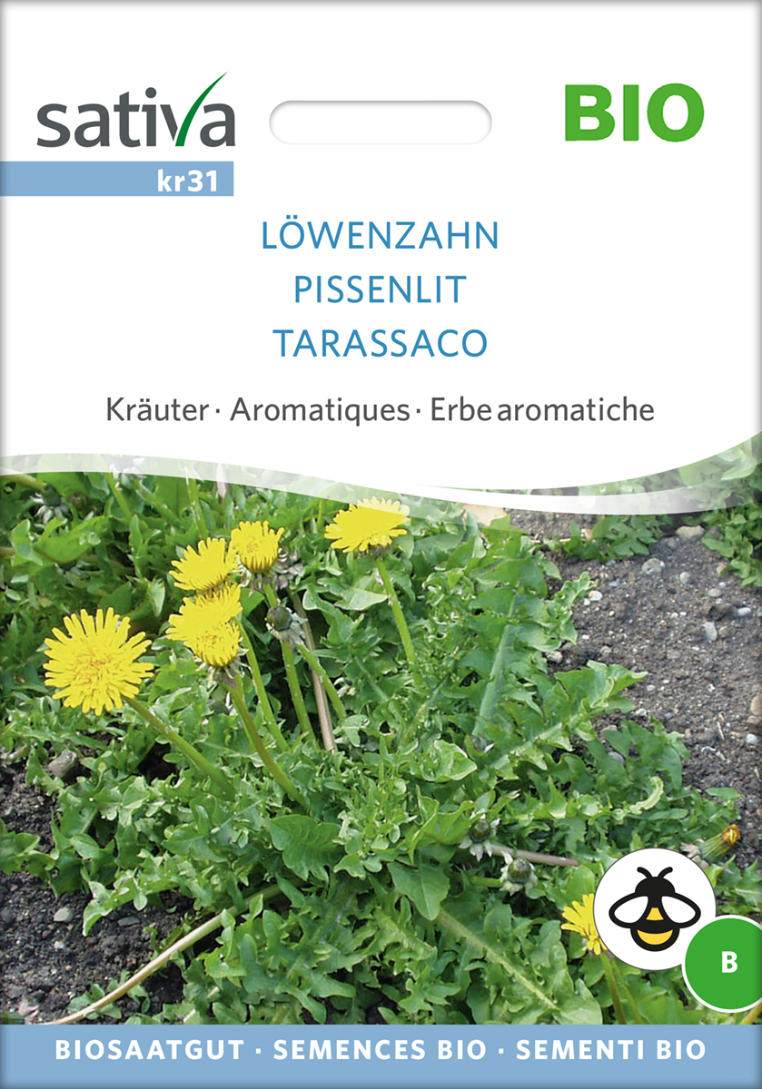 kr31_loewenzahn_bio_samen Löwenzahn BIO Samen