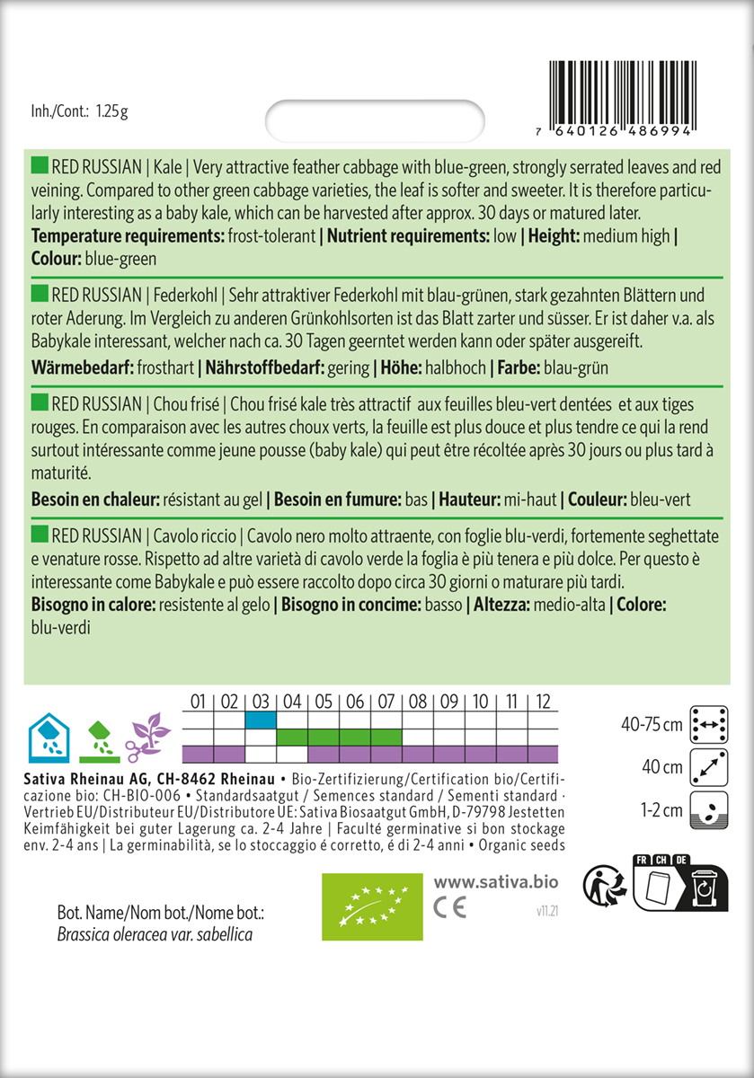 Federkohl Red Russian / Grünkohl BIO Samen