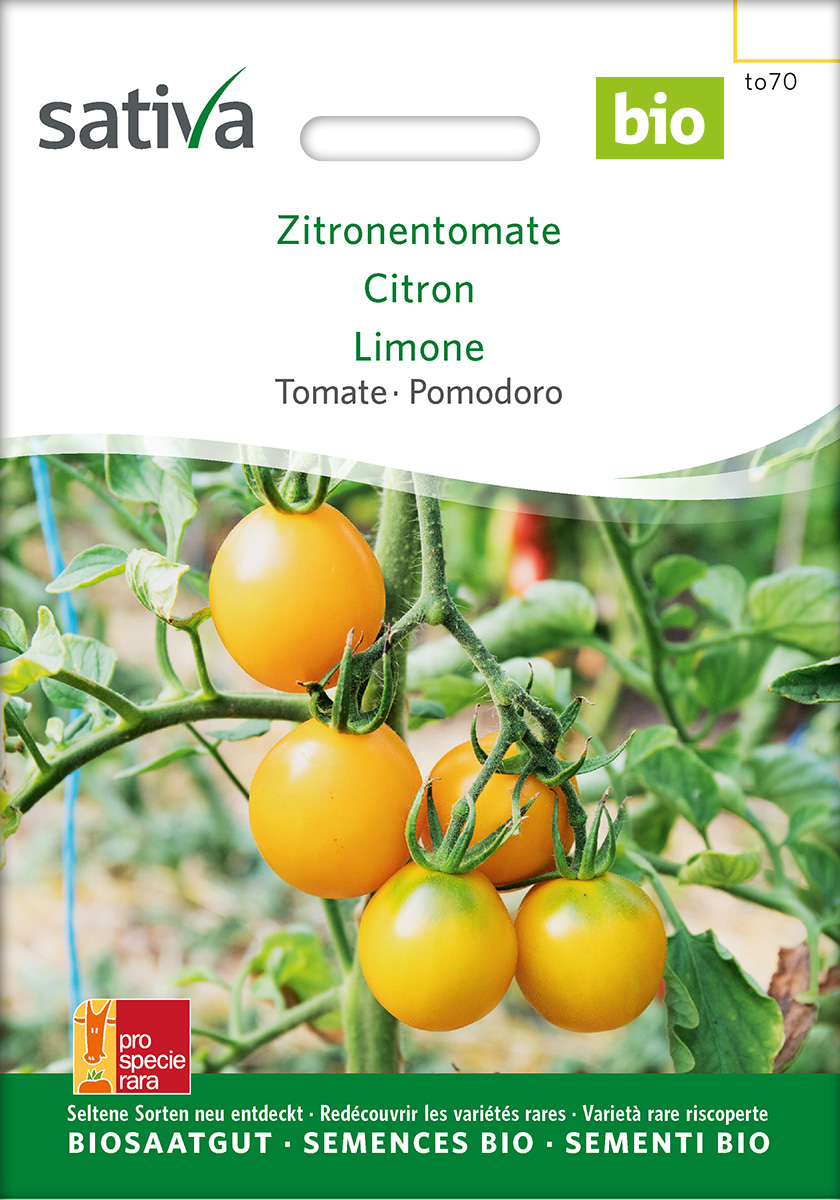 Tomate 'Zitronentomate', BIO Samen | Normalfrucht