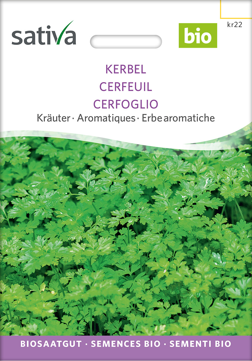 kr22_kerbel_bio_samen Kerbel Bio Samen