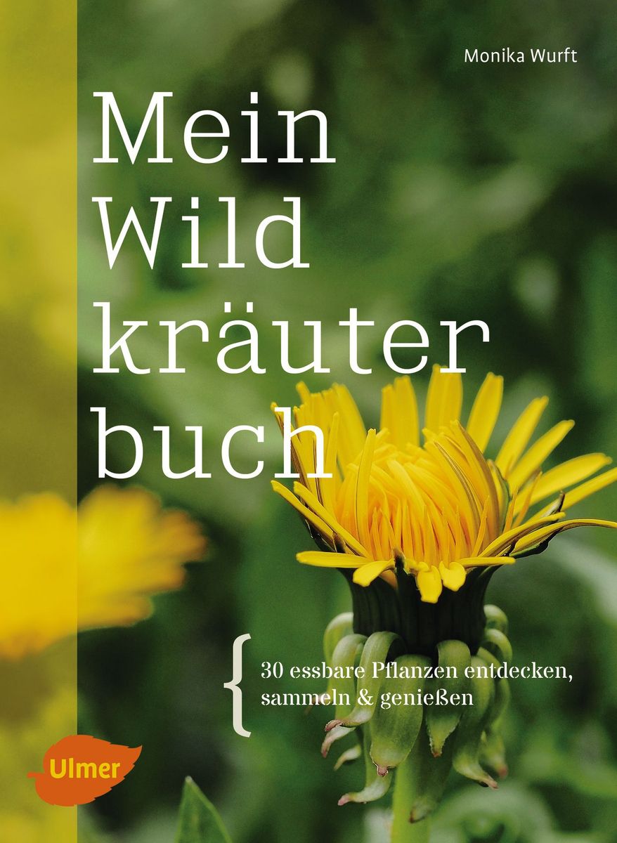 Mein-Wildkraeuterbuch_NTI5NzcyMA-878x1200 Mein Wildkräuterbuch, Monika Wurft