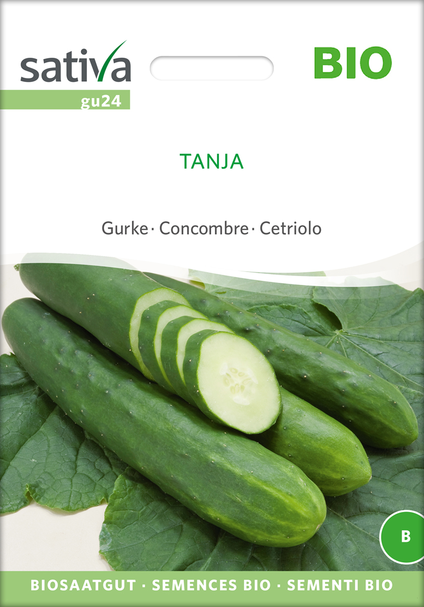 gu24_gurke_tanja_bio_samen Gurke Tanja Samen